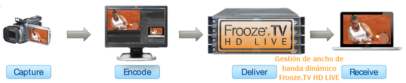 Frooze-HD-Live